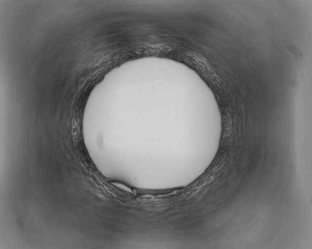 X0000111191109200908121041