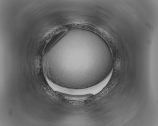 X0000111191110200908121041