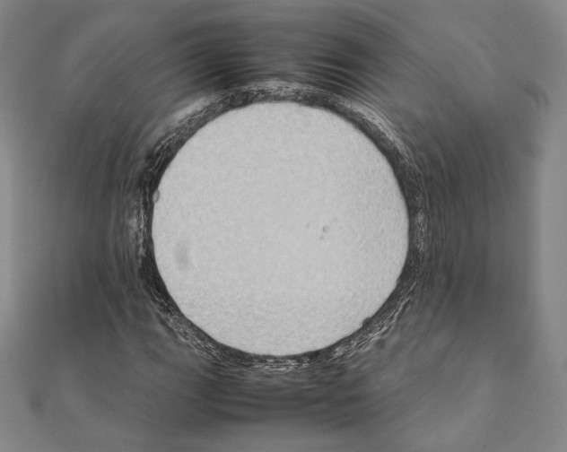 X0000111191111200908121041