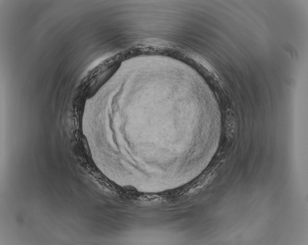 X0000111191112200908121041