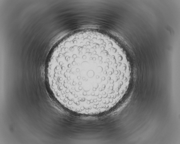 X0000111191113200908121041