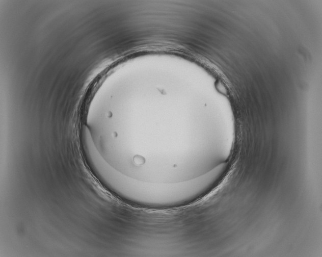 X0000111191114200908121041