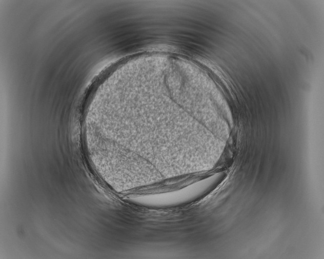 X0000111191115200908121041