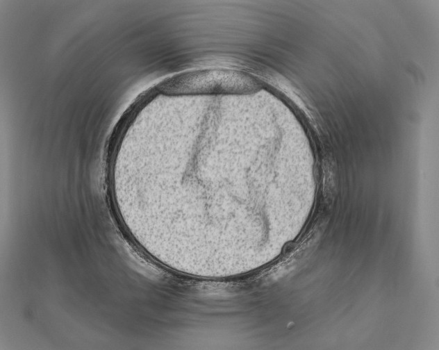 X0000111191116200908121041