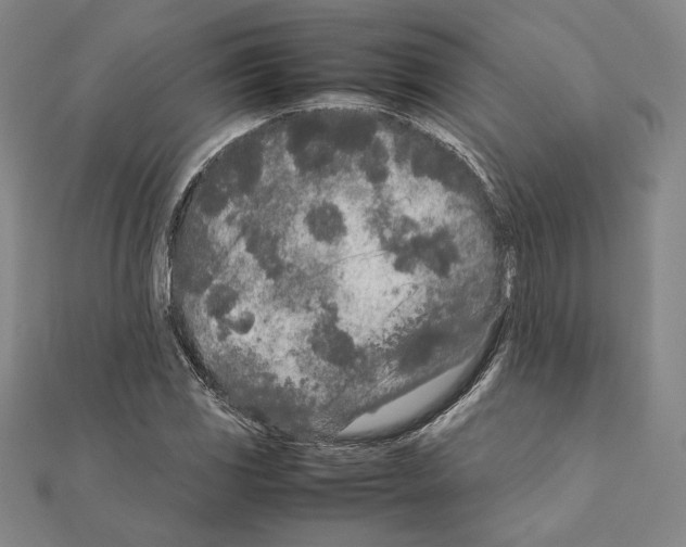 X0000111191117200908121041