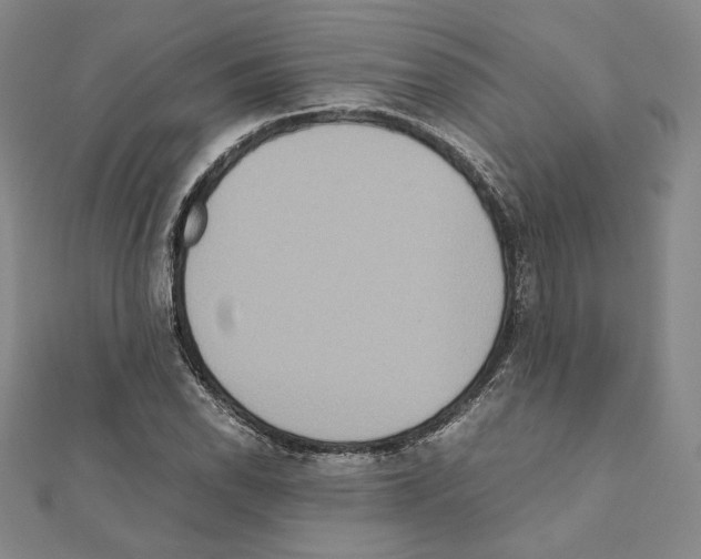 X0000111191118200908121041