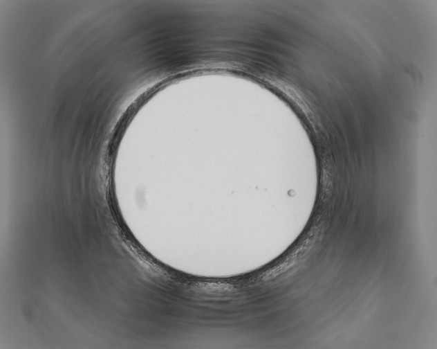 X0000111191119200908121041