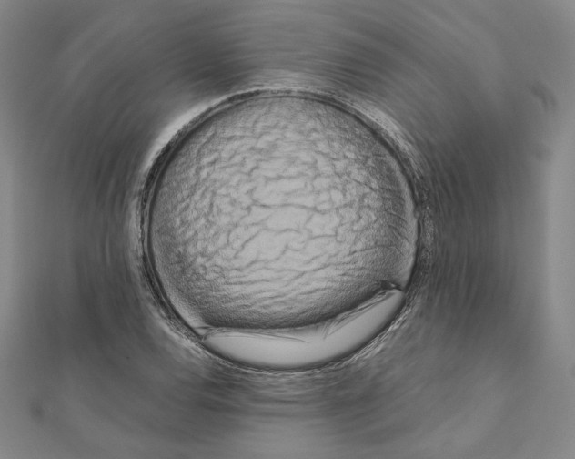 X0000111191120200908121041