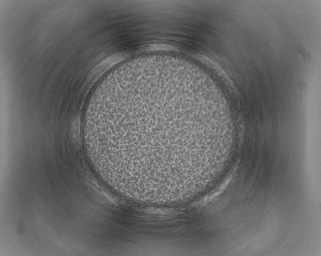 X0000111191121200908121041