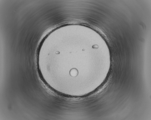 X0000111191122200908121041