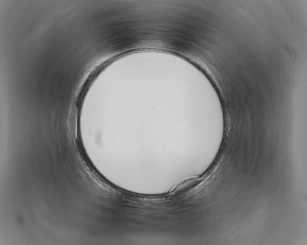 X0000111191123200908121041