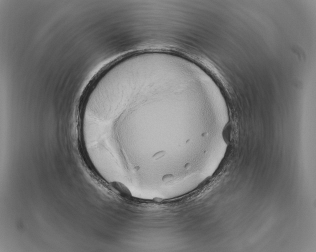 X0000111191124200908121041