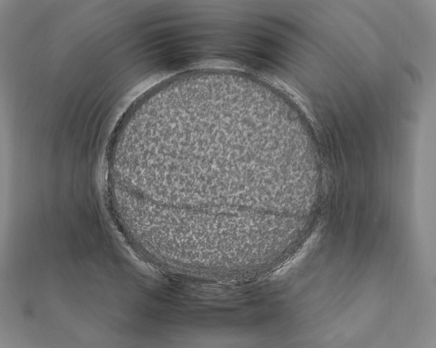 X0000111191125200908121041