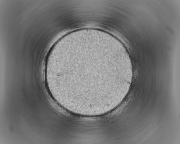 X0000111191126200908121041