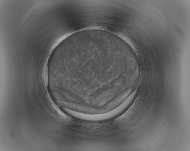 X0000111191127200908121041