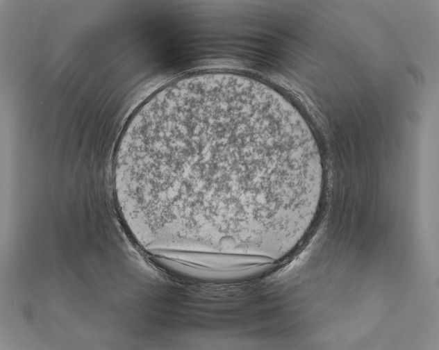 X0000111191129200908121041