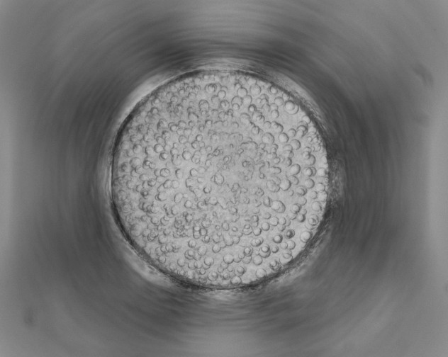 X0000111191130200908121041