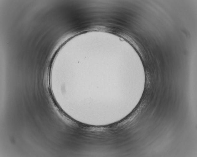 X0000111191131200908121041