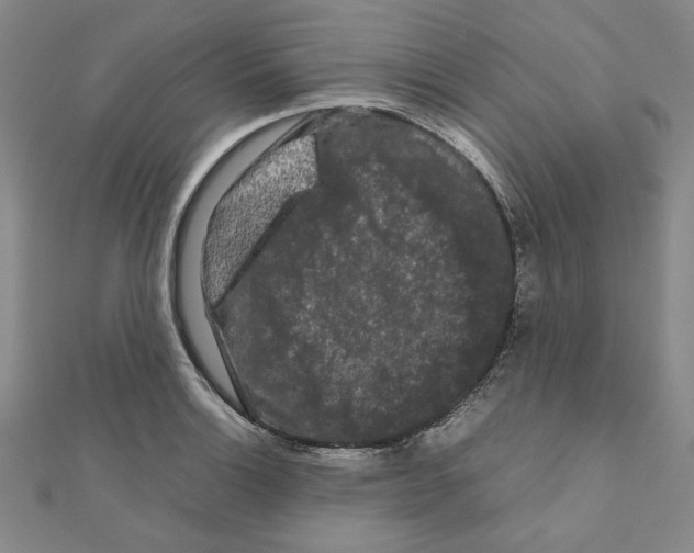 X0000111191132200908121041