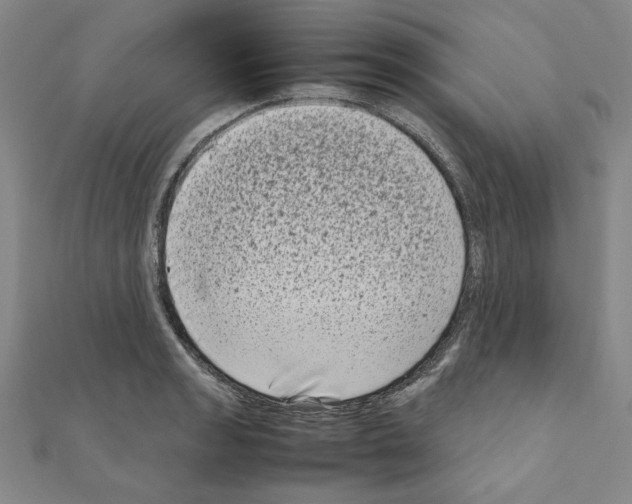 X0000111191133200908121041