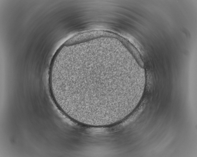 X0000111191134200908121041
