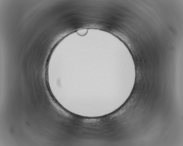 X0000111191135200908121041