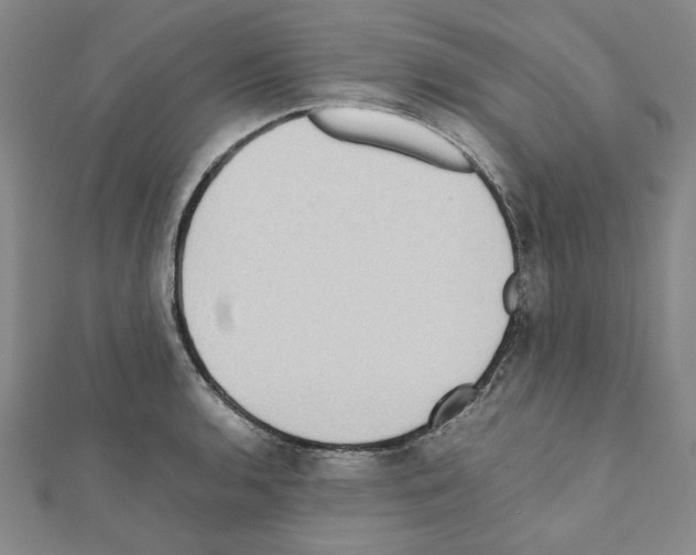 X0000111191136200908121041