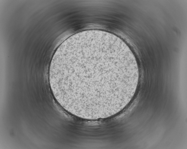 X0000111191137200908121041