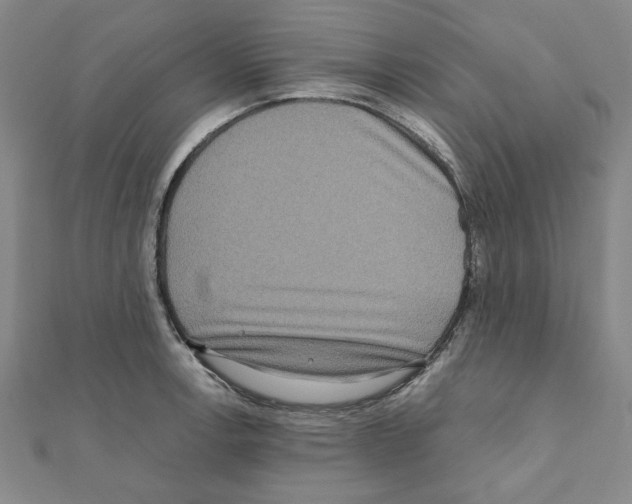 X0000111191138200908121042