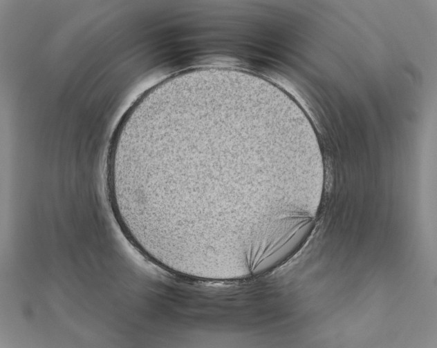 X0000111191139200908121042