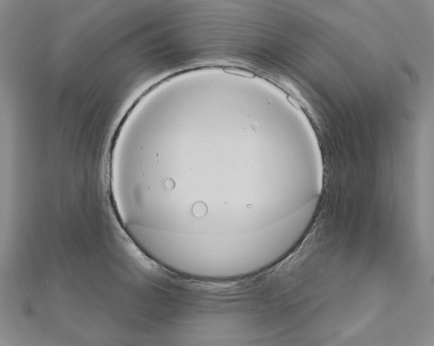 X0000111191140200908121042