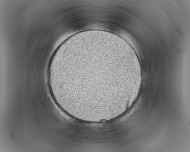 X0000111191141200908121042