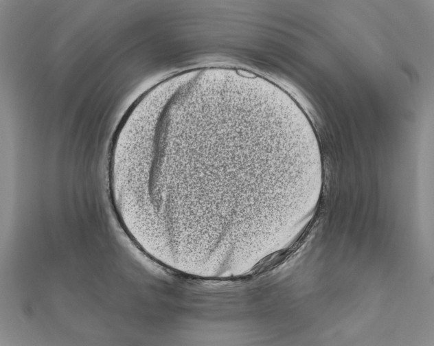 X0000111191142200908121042