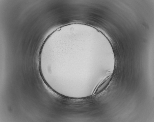 X0000111191143200908121042
