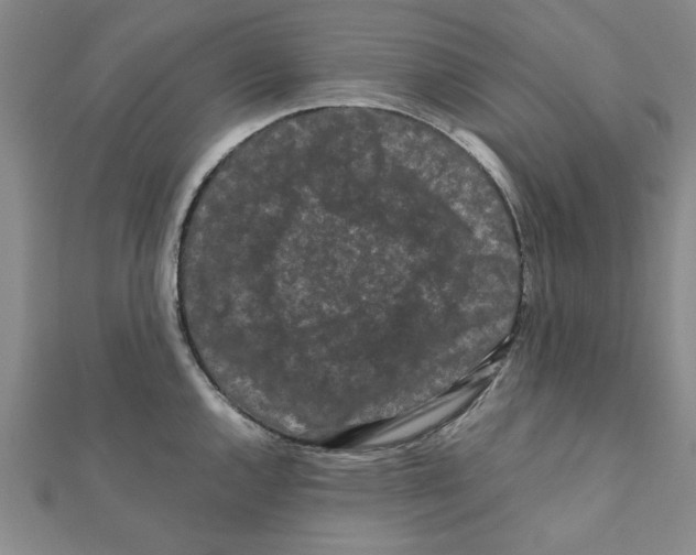 X0000111191144200908121042