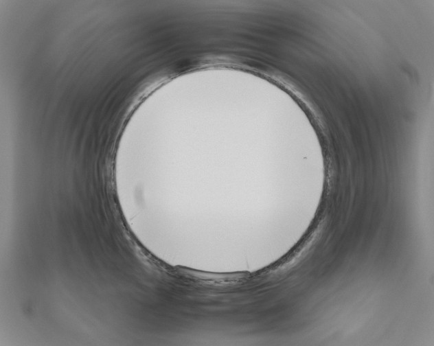 X0000111191145200908121042
