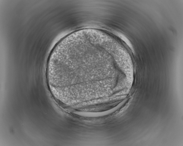 X0000111191146200908121042