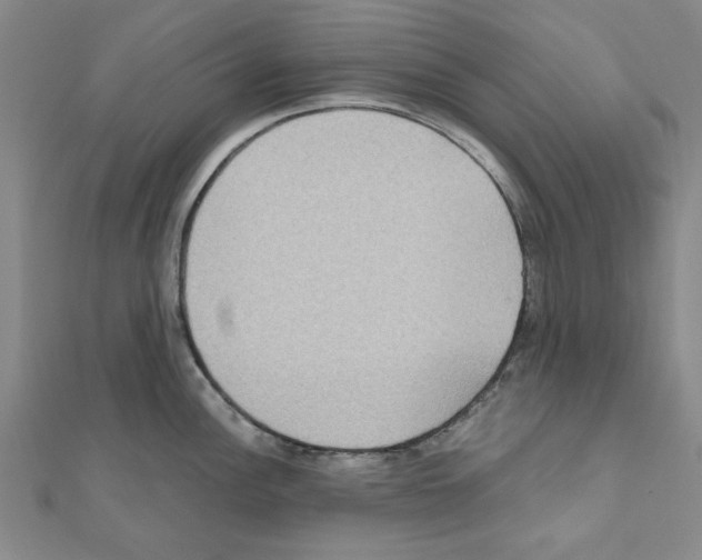 X0000111191148200908121042
