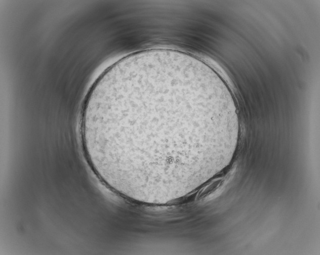 X0000111191149200908121042