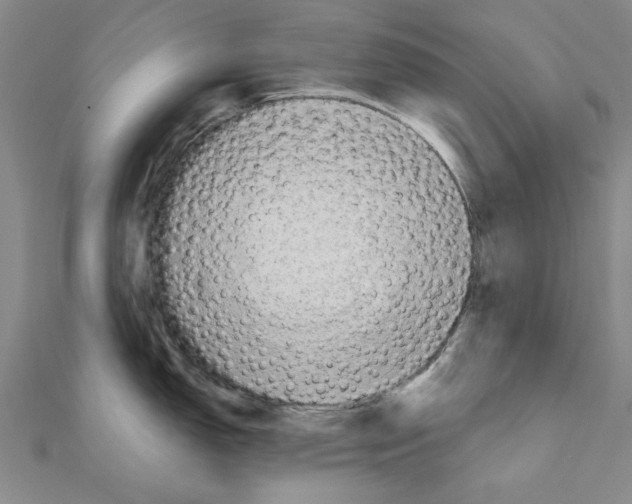 X0000111191150200908121042
