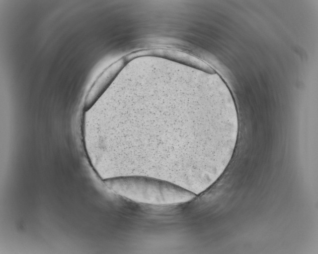 X0000111191152200908121042