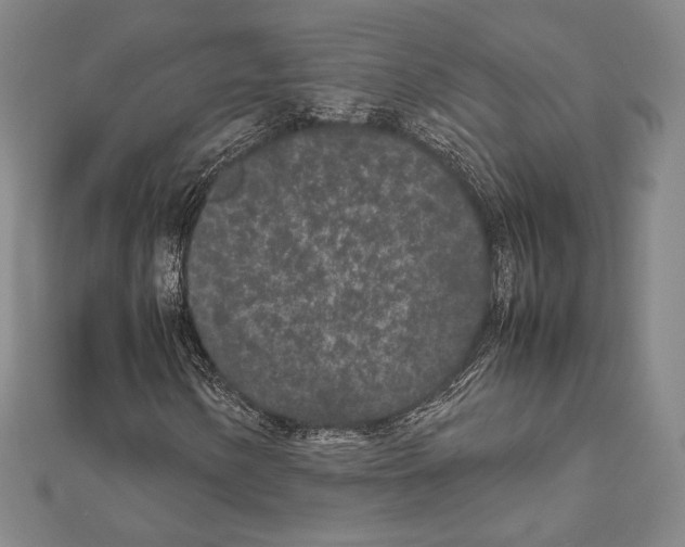 X0000111191154200908121041