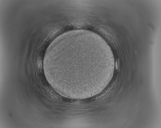 X0000111191155200908121041