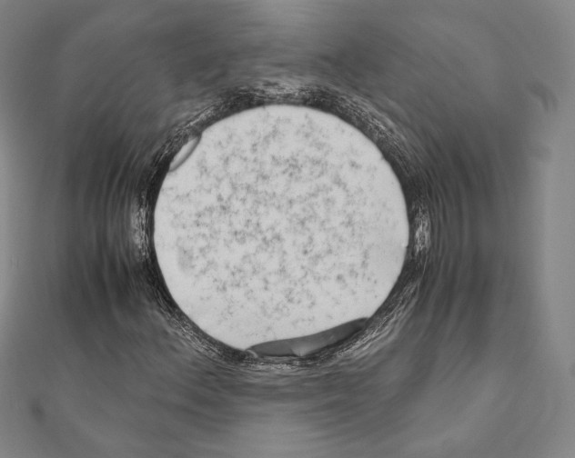X0000111191156200908121041