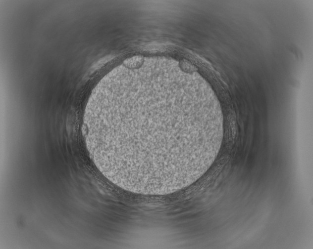 X0000111191158200908121041
