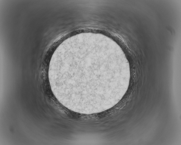 X0000111191159200908121041