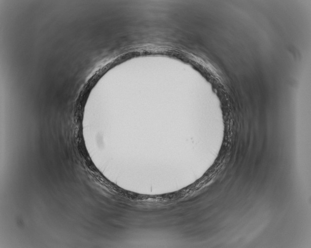 X0000111191160200908121041