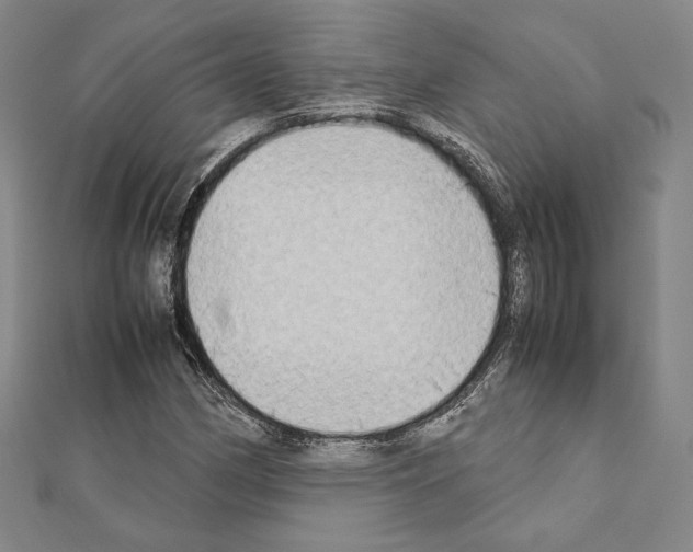 X0000111191162200908121041