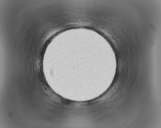 X0000111191163200908121041
