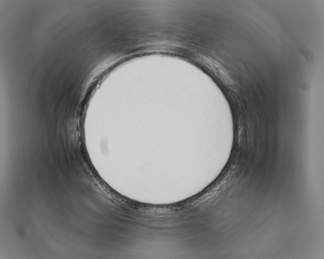 X0000111191164200908121041
